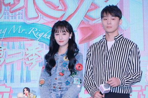 娱乐圈吃瓜拼图