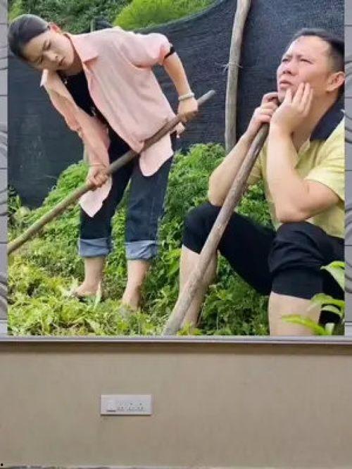 娱乐八卦是吃瓜群众的